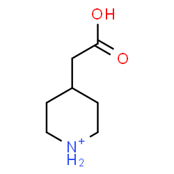 ChemSpider 2D Image | 4-(Carboxymethyl)piperidinium | C7H14NO2