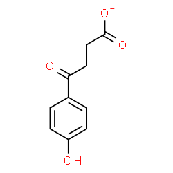 ChemSpider 2D Image | 4-(4-Hydroxyphenyl)-4-oxobutanoate | C10H9O4