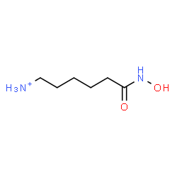 ChemSpider 2D Image | 6-(Hydroxyamino)-6-oxo-1-hexanaminium | C6H15N2O2