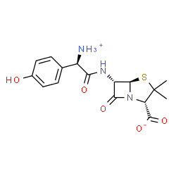 ChemSpider 2D Image | (2S,5R,6S)-6-{[(2R)-2-Ammonio-2-(4-hydroxyphenyl)acetyl]amino}-3,3-dimethyl-7-oxo-4-thia-1-azabicyclo[3.2.0]heptane-2-carboxylate | C16H19N3O5S
