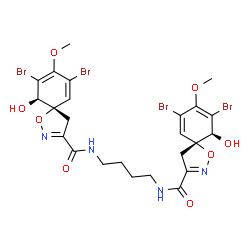 ChemSpider 2D Image | (5S,10R,5'R,10'S)-N,N'-1,4-Butanediylbis(7,9-dibromo-10-hydroxy-8-methoxy-1-oxa-2-azaspiro[4.5]deca-2,6,8-triene-3-carboxamide) | C24H26Br4N4O8