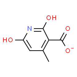 ChemSpider 2D Image | 2-Hydroxy-4-methyl-6-oxo-1,6-dihydro-3-pyridinecarboxylate | C7H6NO4