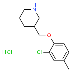 ChemSpider 2D Image | 3-((2-Chloro-4-methylphenoxy)methyl)piperidine hydrochloride | C13H19Cl2NO