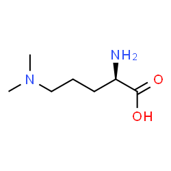 ChemSpider 2D Image | N~5~,N~5~-Dimethyl-D-ornithine | C7H16N2O2