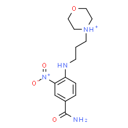 ChemSpider 2D Image | 4-{3-[(4-Carbamoyl-2-nitrophenyl)amino]propyl}morpholin-4-ium | C14H21N4O4