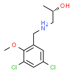 ChemSpider 2D Image | (2S)-N-(3,5-Dichloro-2-methoxybenzyl)-2-hydroxy-1-propanaminium | C11H16Cl2NO2