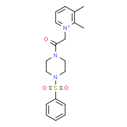 ChemSpider 2D Image | 2,3-Dimethyl-1-{2-oxo-2-[4-(phenylsulfonyl)-1-piperazinyl]ethyl}pyridinium | C19H24N3O3S