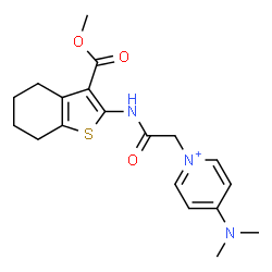 ChemSpider 2D Image | 4-(Dimethylamino)-1-(2-{[3-(methoxycarbonyl)-4,5,6,7-tetrahydro-1-benzothiophen-2-yl]amino}-2-oxoethyl)pyridinium | C19H24N3O3S