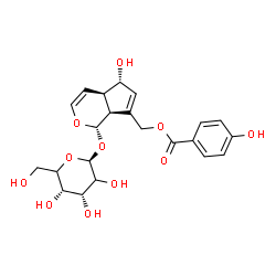 ChemSpider 2D Image | [(1S,4aR,5S,7aS)-1-(beta-D-erythro-Hexopyranosyloxy)-5-hydroxy-1,4a,5,7a-tetrahydrocyclopenta[c]pyran-7-yl]methyl 4-hydroxybenzoate | C22H26O11