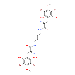 ChemSpider 2D Image | (2E,2'E)-N,N'-1,4-Butanediylbis[3-(3,5-dibromo-2-hydroxy-4-methoxyphenyl)-2-(hydroxyimino)propanamide] | C24H26Br4N4O8