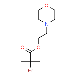 ChemSpider 2D Image | ATRP initiator | C10H18BrNO3