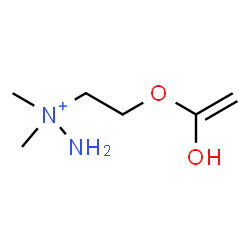 ChemSpider 2D Image | 1-{2-[(1-Hydroxyvinyl)oxy]ethyl}-1,1-dimethylhydrazinium | C6H15N2O2