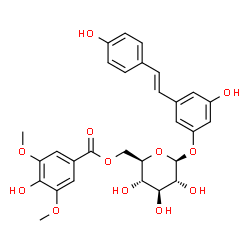 ChemSpider 2D Image | 3-Hydroxy-5-[(E)-2-(4-hydroxyphenyl)vinyl]phenyl 6-O-(4-hydroxy-3,5-dimethoxybenzoyl)-beta-D-glucopyranoside | C29H30O12