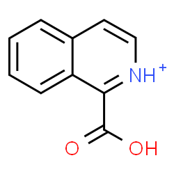 ChemSpider 2D Image | 1-Carboxyisoquinolinium | C10H8NO2