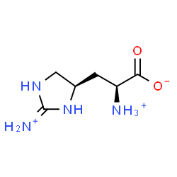 ChemSpider 2D Image | (2S)-2-Ammonio-3-[(4R)-2-ammonio-4,5-dihydro-1H-imidazol-4-yl]propanoate | C6H13N4O2