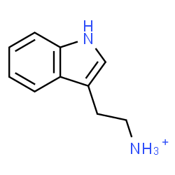 ChemSpider 2D Image | 2-(1H-Indol-3-yl)ethanaminium | C10H13N2