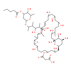 ChemSpider 2D Image | 3-{[(1R,30R,31R,32S)-14-{7-[(2,6-Dideoxy-3-O-pentanoylhexopyranosyl)oxy]-3,5-dihydroxy-4,6-dimethyl-2-octanyl}-3,9,20,22,24,28,30,31,32-nonahydroxy-13,27-dimethyl-16-oxo-11,15,34-trioxatricyclo[28.3.1
.0~10,12~]tetratriacont-17-en-5-yl]oxy}-3-oxopropanoic acid | C57H98O24