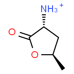 ChemSpider 2D Image | (3R,5R)-5-Methyl-2-oxotetrahydro-3-furanaminium | C5H10NO2
